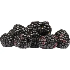 Herbstbrombeere "Little Black Prince" Höhe Ca. 40 - 60 Cm Topf Ca. 6 L Rubus -Günstiges Heissner Geschäft 321404 3358 122022 2