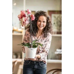 Lechuza Pflanzgefäß Orchidea Color Ø 18 Cm X 20 Cm Weiß Matt 12 Lechuza Pflanzgefäß Orchidea Color Ø 18 Cm X 20 Cm Weiß Matt -Günstiges Heissner Geschäft 4008789139603 4186 5