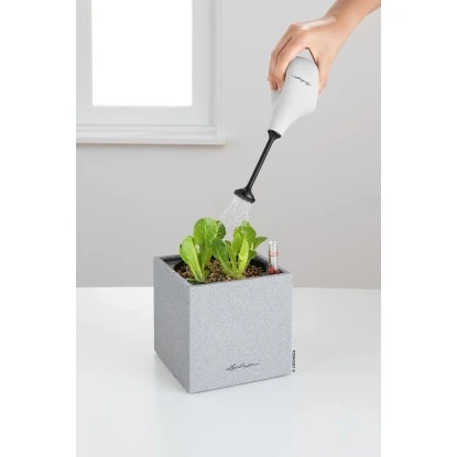 Lechuza Gießbrause Flowershower Ø 8 Cm Hellgrau 4 Lechuza Gießbrause Flowershower Ø 8 Cm Hellgrau – Bild 2