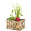 OBI Terrassenteich In Holzkiste Brussels Braun Topf-Ø Ca. 40 Cm