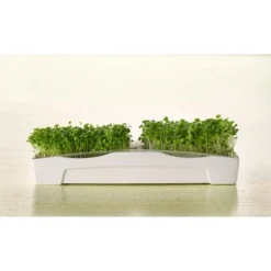 Sperli Grünsprossen-Duo-Anzuchtschale -Günstiges Heissner Geschäft 423874 4161 85014 3