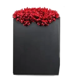 Pflanzwerk® Ultraflacher Pflanzenroller 80 Cm X 28 Cm -Günstiges Heissner Geschäft 4250871644667 11001500 2