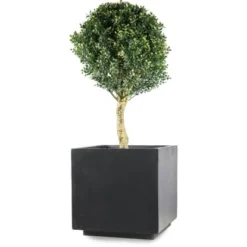 Pflanzwerk® Ultraflacher XL Pflanzenroller 38 Cm X 38 Cm -Günstiges Heissner Geschäft 4250871644681 11001500 6