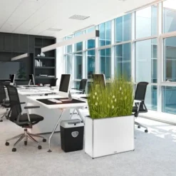 Amare Blumentopf Pur Fiberglas Design 28 Cm X 80 Cm X 61 Cm Weiß 18 Amare Blumentopf Pur Fiberglas Design 28 Cm X 80 Cm X 61 Cm Weiß -Günstiges Heissner Geschäft 4251083908455 4655 8