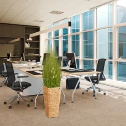 Gartenfreude Blumentopf Wasserhyazinthe 28 X 28 X 60 Cm Natur Kunststoffeinsatz 14 Gartenfreude Blumentopf Wasserhyazinthe 28 X 28 X 60 Cm Natur Kunststoffeinsatz -Günstiges Heissner Geschäft 4251083910410 4655 5