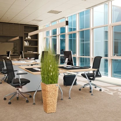 Gartenfreude Blumentopf Wasserhyazinthe 28 X 28 X 60 Cm Natur Kunststoffeinsatz 7 Gartenfreude Blumentopf Wasserhyazinthe 28 X 28 X 60 Cm Natur Kunststoffeinsatz – Bild 5