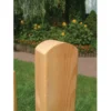 Vierkant-Zaunpfahl Mit Rundkopf 9 Cm X 9 Cm X 100 Cm Naturfarben Lasiert FSC® -Günstiges Heissner Geschäft 4361051 picture 1