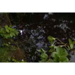 Heissner SMART LIGHTLED-Spot Für Teich Pool Und Garten 3 Watt Multicolor 22 Heissner SMART LIGHTLED-Spot Für Teich Pool Und Garten 3 Watt Multicolor -Günstiges Heissner Geschäft 457772 2059 34