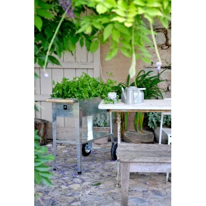 Kräuterhochbeet Urban 75 Cm X 35 Cm Silber 3 Kräuterhochbeet Urban 75 Cm X 35 Cm Silber