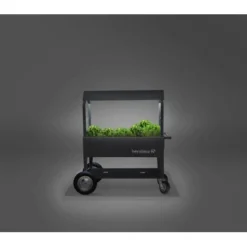 Kräuterhochbeet Überdachung XXL 120 Cm X 60 Cm Anthrazit 8 Kräuterhochbeet Überdachung XXL 120 Cm X 60 Cm Anthrazit -Günstiges Heissner Geschäft 478838 1741 3