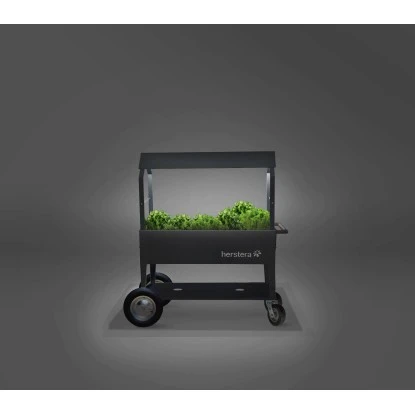 Kräuterhochbeet Überdachung XXL 120 Cm X 60 Cm Anthrazit 5 Kräuterhochbeet Überdachung XXL 120 Cm X 60 Cm Anthrazit – Bild 3