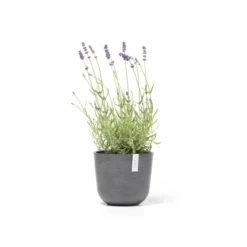 Ecopots Pflanztopf Oslo Mini Grau 19 Cm X 16,5 Cm 7 Ecopots Pflanztopf Oslo Mini Grau 19 Cm X 16,5 Cm -Günstiges Heissner Geschäft 529 11012100 Oslo19Grey 01
