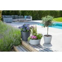 Scheurich Pflanzschale C-Cone Ø 39 Cm Stony Black -Günstiges Heissner Geschäft 531578 4357 239 40 3