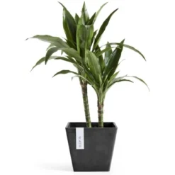Ecopots Pflanztopf Rotterdam Dunkelgrau 20 Cm -Günstiges Heissner Geschäft 5411942740667 11012100 02