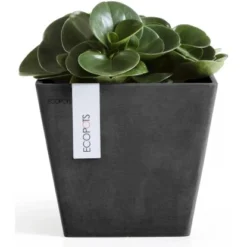 Ecopots Pflanztopf Rotterdam Dunkelgrau 20 Cm -Günstiges Heissner Geschäft 5411942740667 11012100 05