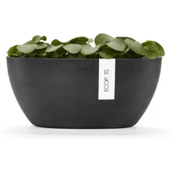 Ecopots Pflanztopf Sofia+WasBeh Dunkelgrau 30 Cm -Günstiges Heissner Geschäft 5413724307051 11012100 04