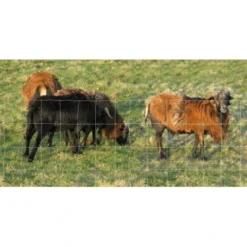 Floraworld Knotengeflecht (L X H) 50 M X 200 Cm Aus Verzinktem Draht 7 Floraworld Knotengeflecht (L X H) 50 M X 200 Cm Aus Verzinktem Draht -Günstiges Heissner Geschäft 622853 4514 03