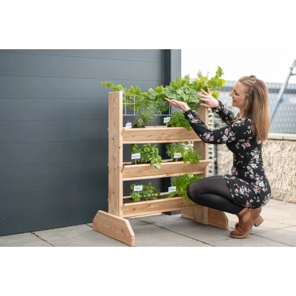 Westmann Kräuterregal Premium Mit Rankgitter L FSC® 13 Westmann Kräuterregal Premium Mit Rankgitter L FSC® – Bild 11