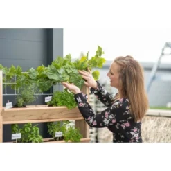 Westmann Kräuterregal Premium Mit Rankgitter L FSC® 33 Westmann Kräuterregal Premium Mit Rankgitter L FSC® -Günstiges Heissner Geschäft 730605 1741 WM102301 12