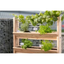 Westmann Kräuterregal Premium Mit Rankgitter L FSC® 35 Westmann Kräuterregal Premium Mit Rankgitter L FSC® -Günstiges Heissner Geschäft 730605 1741 WM102301 14