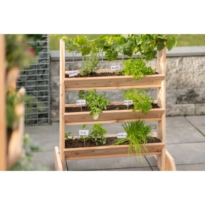 Westmann Kräuterregal Premium Mit Rankgitter L FSC® 17 Westmann Kräuterregal Premium Mit Rankgitter L FSC® – Bild 15