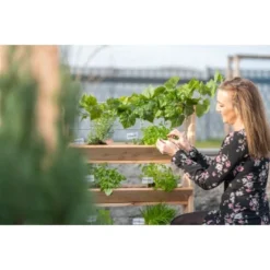 Westmann Kräuterregal Premium Mit Rankgitter L FSC® 38 Westmann Kräuterregal Premium Mit Rankgitter L FSC® -Günstiges Heissner Geschäft 730605 1741 WM102301 17