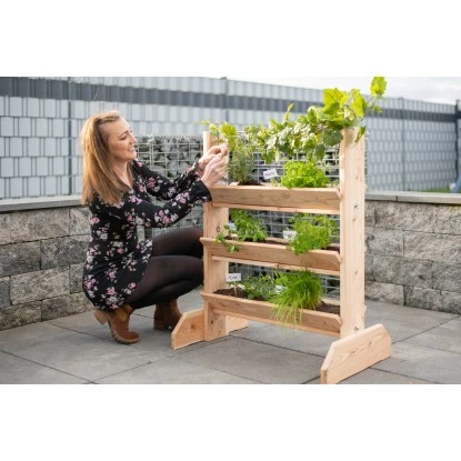 Westmann Kräuterregal Premium Mit Rankgitter L FSC® 20 Westmann Kräuterregal Premium Mit Rankgitter L FSC® – Bild 18