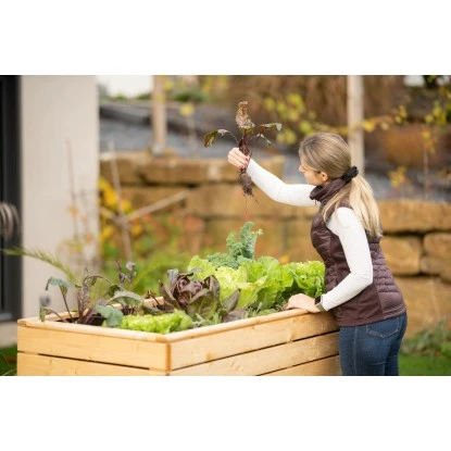 Westmann Hochbeet Holz Fichte XL 15 Westmann Hochbeet Holz Fichte XL – Bild 13