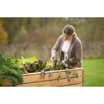 Westmann Hochbeet Holz Fichte XL 16 Westmann Hochbeet Holz Fichte XL – Bild 14