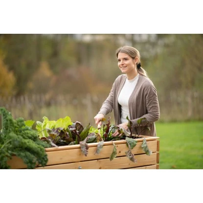 Westmann Hochbeet Holz Fichte XL 17 Westmann Hochbeet Holz Fichte XL – Bild 15