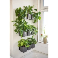 Lechuza Pflanzgefäße Green Wall Home Kit Glossy Set Anthrazit Highgloss -Günstiges Heissner Geschäft 754140 4186 3