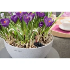 Lechuza Pflanzgefäß Cubeto Stone 30 Steingrau Ø 30 Cm -Günstiges Heissner Geschäft 754214 4186 5