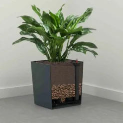 Siena Garden Pflanzgefäß Modern Biron Graphit 30x30x31,0 Cm -Günstiges Heissner Geschäft 8630196 1346 3