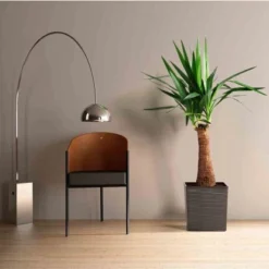 Siena Garden Pflanzgefäß Modern Biron Graphit 30x30x31,0 Cm -Günstiges Heissner Geschäft 8630196 1346 4