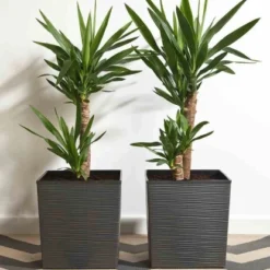 Siena Garden Pflanzgefäß Modern Biron Graphit 30x30x31,0 Cm -Günstiges Heissner Geschäft 8630196 1346 5