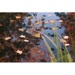 Ubbink PondNet Laubschutznetz 10 X 6 M -Günstiges Heissner Geschäft 8711465645270 3411 1