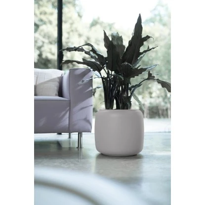 Elho Übertopf Pure Beads Small Ø 39,2 Cm Kieselrosa 11 Elho Übertopf Pure Beads Small Ø 39,2 Cm Kieselrosa – Bild 9