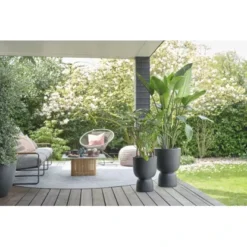 Elho Blumentopf Pure Coupe Ø 34,9 Cm Schwarz -Günstiges Heissner Geschäft 8711904492649 4667 11