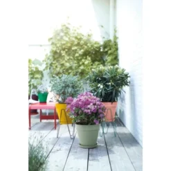 Elho Blumentopf Loft Urban Rund Mit Rollen Ø 48,5 Cm Pistaziengrün -Günstiges Heissner Geschäft 8711904500597 4667 13