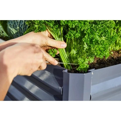 Metall-Hochbeet Anthrazit 150 Cm X 70 Cm X 70 Cm 10 Metall-Hochbeet Anthrazit 150 Cm X 70 Cm X 70 Cm – Bild 8