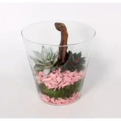 Grünpflanzen-Arrangement Im Glas-Gefäß Topf-Ø Ca. 20 Cm -Günstiges Heissner Geschäft 8719194194021 4883 2