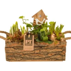 Arrangement Mit Verschiedenen Frühjahrsblühern Im Holzkasten Topf-Ø Ca. 25 Cm