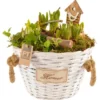 Arrangement Mit Verschiedenen Frühjahrsblühern Im Henkelkorb Topf-Ø Ca. 28 Cm