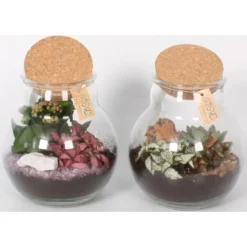 Pflanzen-Arrangement Im Korken-Glas Topf-Ø Ca. 18 Cm 7 Pflanzen-Arrangement Im Korken-Glas Topf-Ø Ca. 18 Cm -Günstiges Heissner Geschäft 8719194200180 4883 3