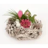 Winterliches Pflanzen-Arrangement Im Deko-Kranz Topf-Ø 30 Cm 2 Winterliches Pflanzen-Arrangement Im Deko-Kranz Topf-Ø 30 Cm -Günstiges Heissner Geschäft 8719194231061 4883