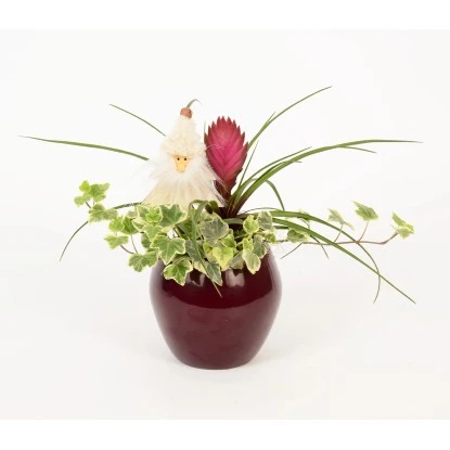 Winterliches Pflanzen-Arrangement Im Keramik-Gefäß Topf-Ø Ca. 12 Cm 4 Winterliches Pflanzen-Arrangement Im Keramik-Gefäß Topf-Ø Ca. 12 Cm – Bild 2