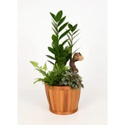 Grünpflanzen-Arrangement Im Bambus-Gefäß Topf-Ø Ca. 18 Cm -Günstiges Heissner Geschäft 8719194235274 4883 2