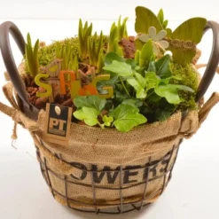 Frühlingsschale Höhe Ca. 25 - 30 Cm Im Metallkorb