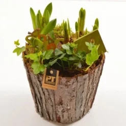 Frühlingsschale Höhe Ca. 25 - 30 Cm Im Holzgefäß