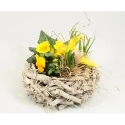 Frühlingsschale Höhe Ca. 20 - 30 Cm Im Schilfkranz